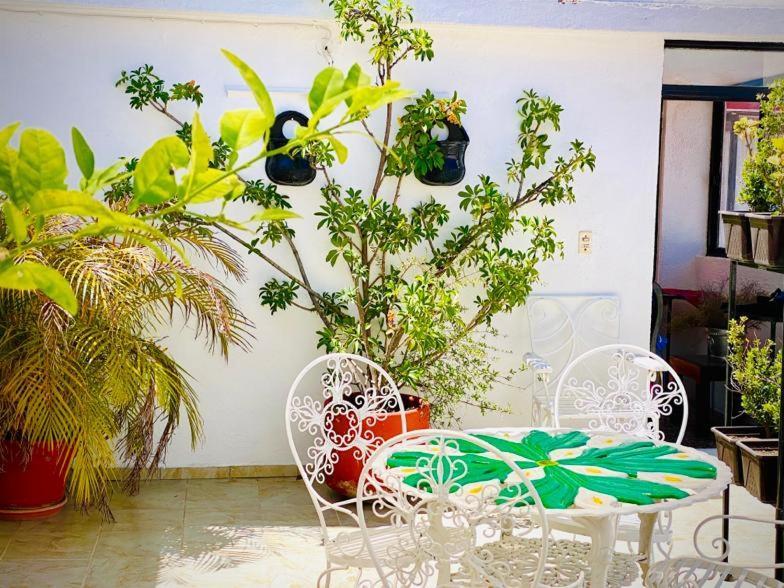 Отель Casa Mexicana Гуанахуато Экстерьер фото